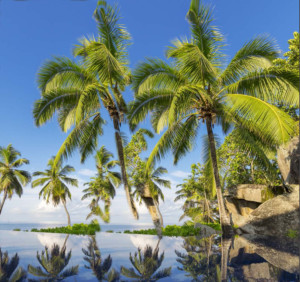 bermuda