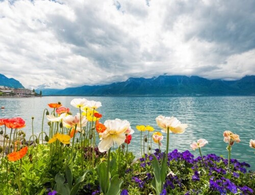 The Majestic Food of Montreux, Switzerland