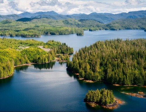 Best Ways to Explore the Natural Splendor and Wealth of Culture in Ketchikan, Alaska on a Cruise