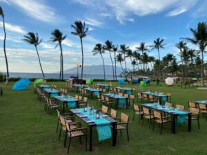 maui22