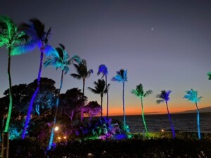 maui30