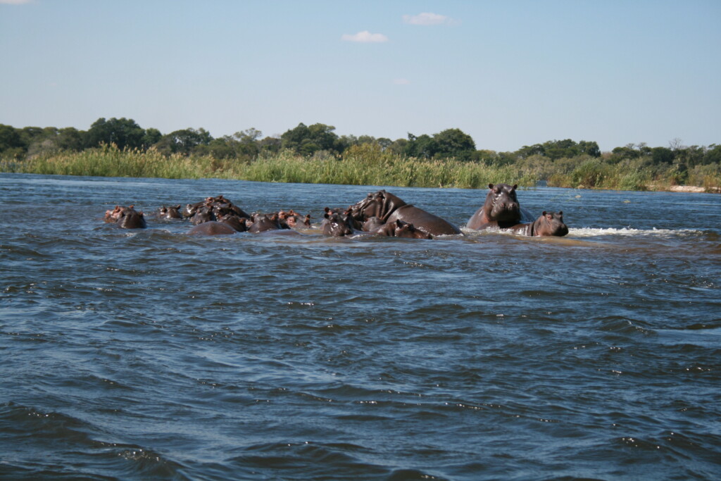 south-africa-safari24