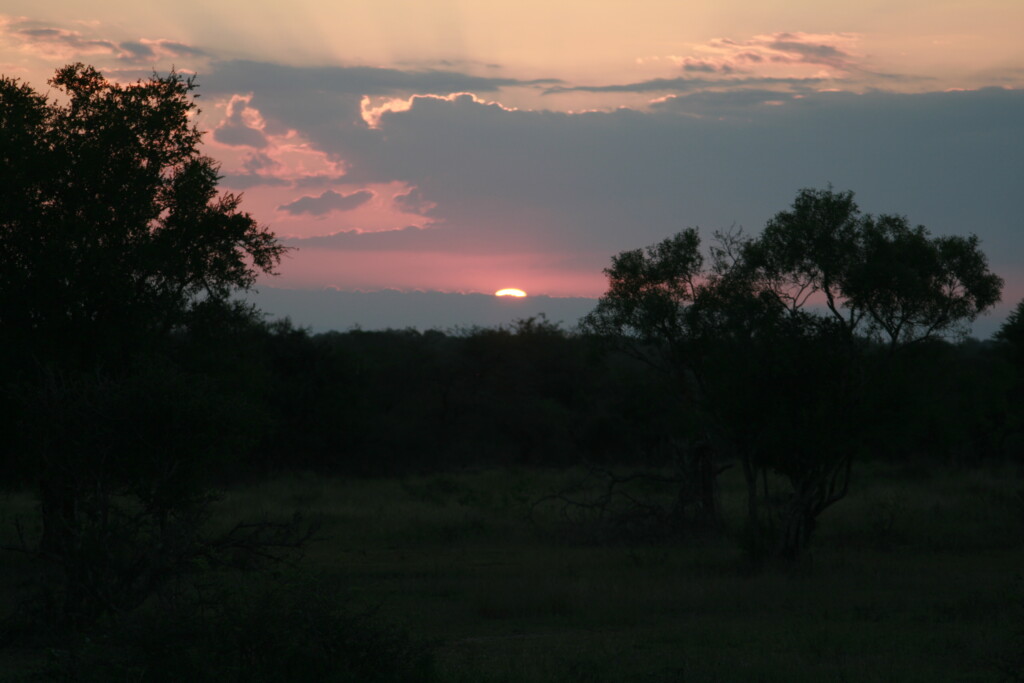 south-africa-safari26