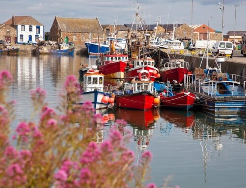 Explore the Timeless Heart of Ireland in Dublin