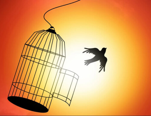 Empowering the Front Line: 3 Tips for Building Autonomy Where It Matters Most